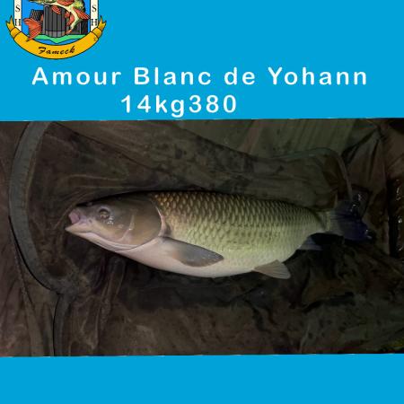 Agrandir l'image