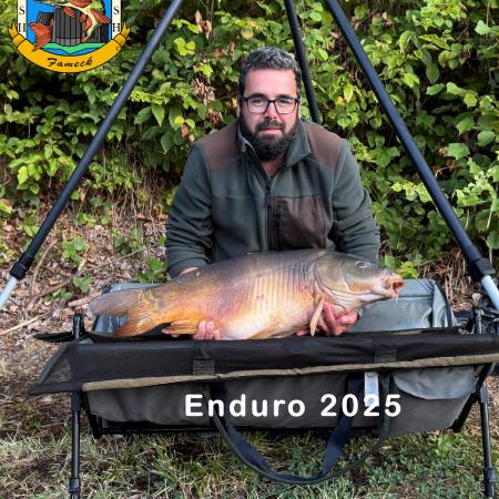 Agrandir l'image